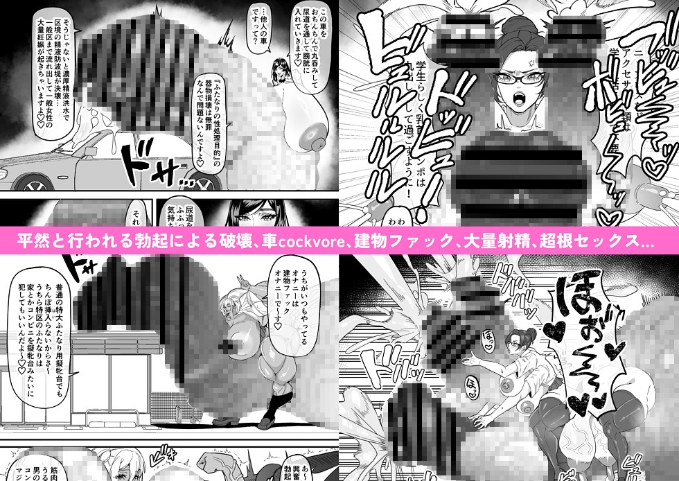 ふたなり特区調査報告書 画像2