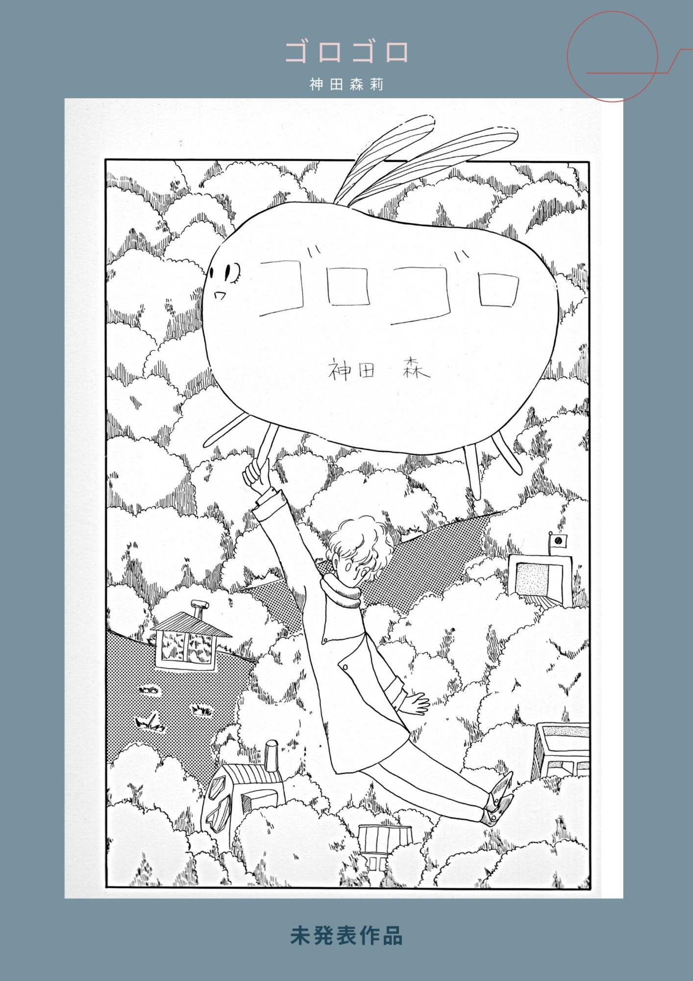 未発表作品『ゴロゴロ』1982年 - 神田森莉