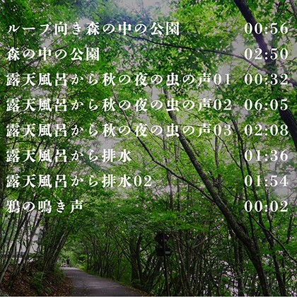 素材としても使える！音のV(?)log in 日光【環境音・滝の音・ASMR】