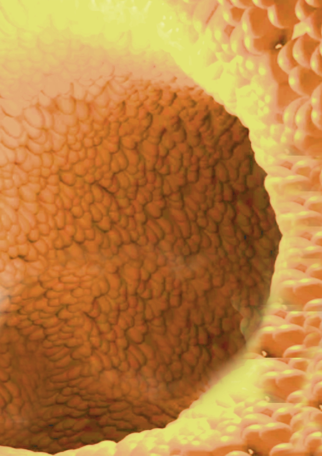 ◆カズノコ天井の和菜ちゃん2◆〜コンドームってなぁに?〜やっぱりオナニーはやめられないおまんこの穴の中のコリコリいじり…お兄ちゃんのおちんちんでココを擦って★ィ 画像4