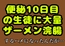 ◉便秘10日目◉の生徒にザーメン浣腸するハメのなった件…あとその生徒くそ礼儀知らずでクソ生意気だったんで、パンパンの腹をはらパンしたら苦しんでうめいてた時の声公開