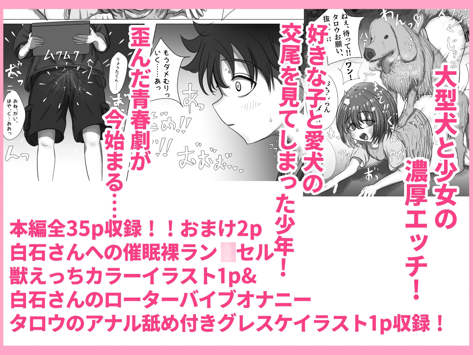 好きな子がウチの犬にやられてた 画像10