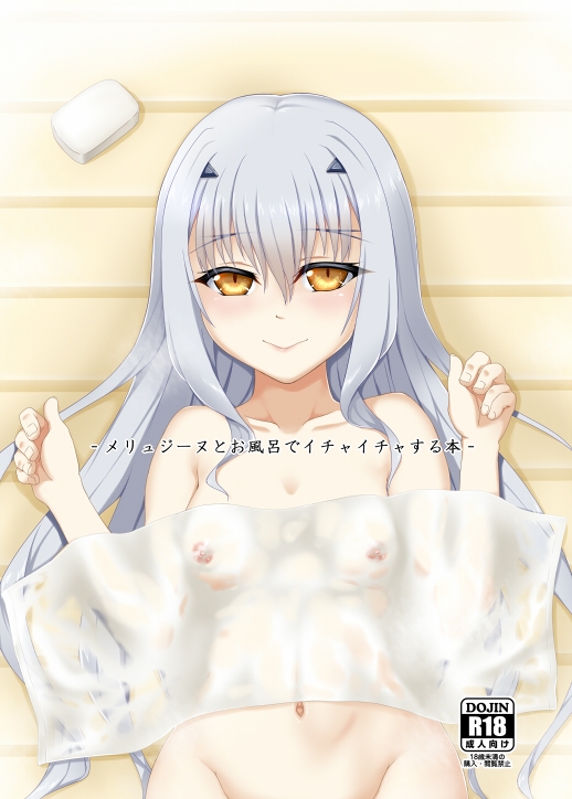 メリュジーヌとお風呂でイチャイチャする本 画像1