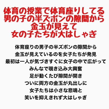 体育の授業で体育座りしてる男の子の半ズボンの隙間から金玉が見えて女の子たちが大はしゃぎ