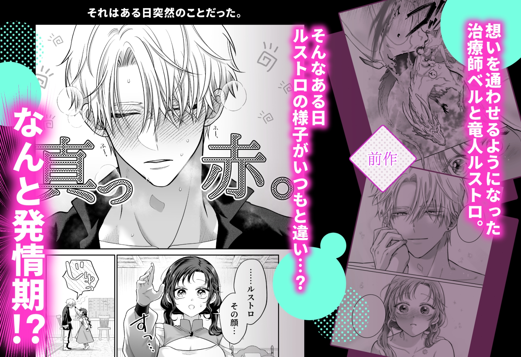 本音を隠した治療師は竜人サマに身体の奥まで暴かれる〜春情の章〜 画像1