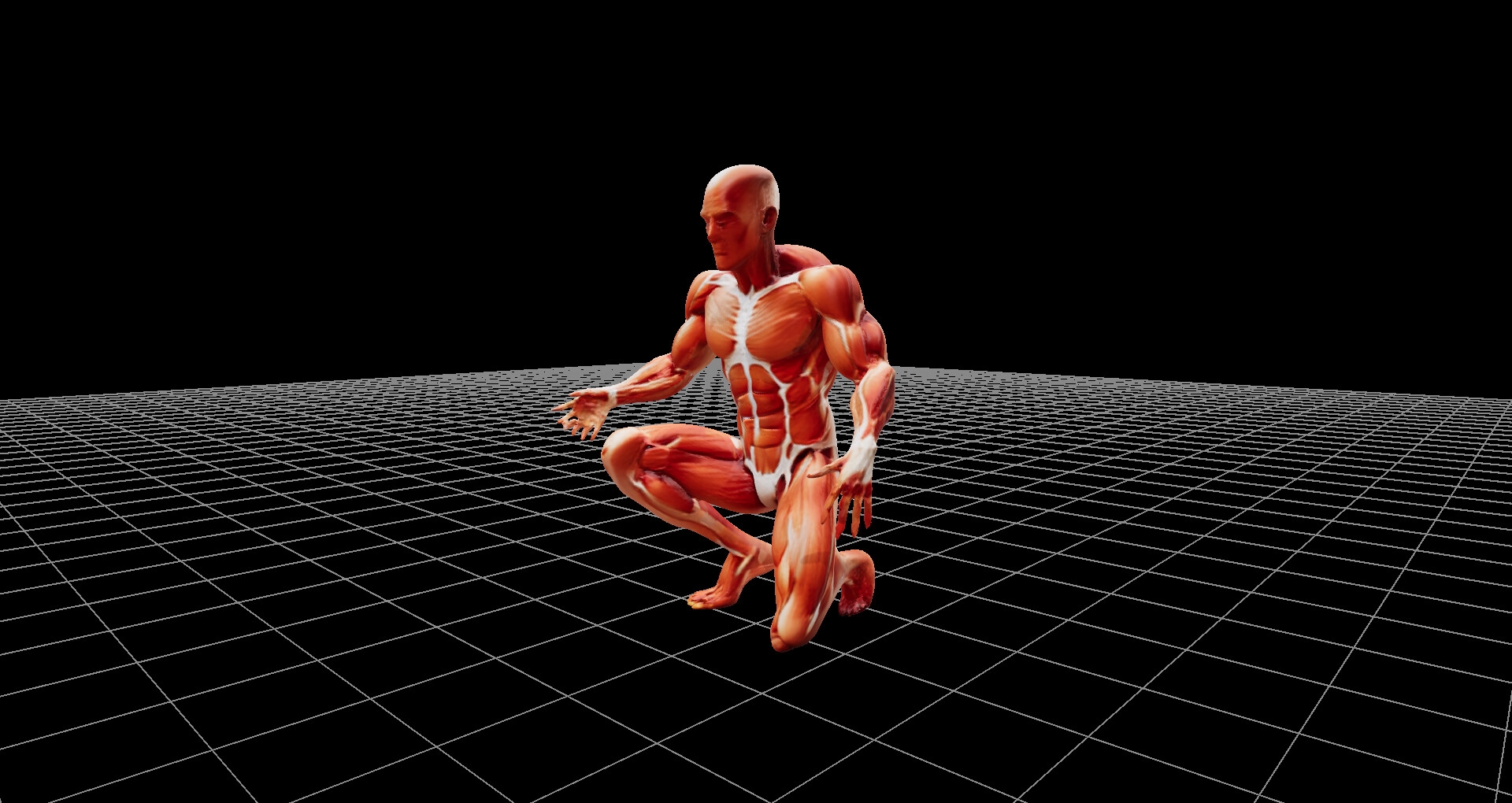 人体模型の3Dファイル(glbファイル)、および360度レンダリング画像、ファイル数1206枚、3Dビューワーソフト同梱