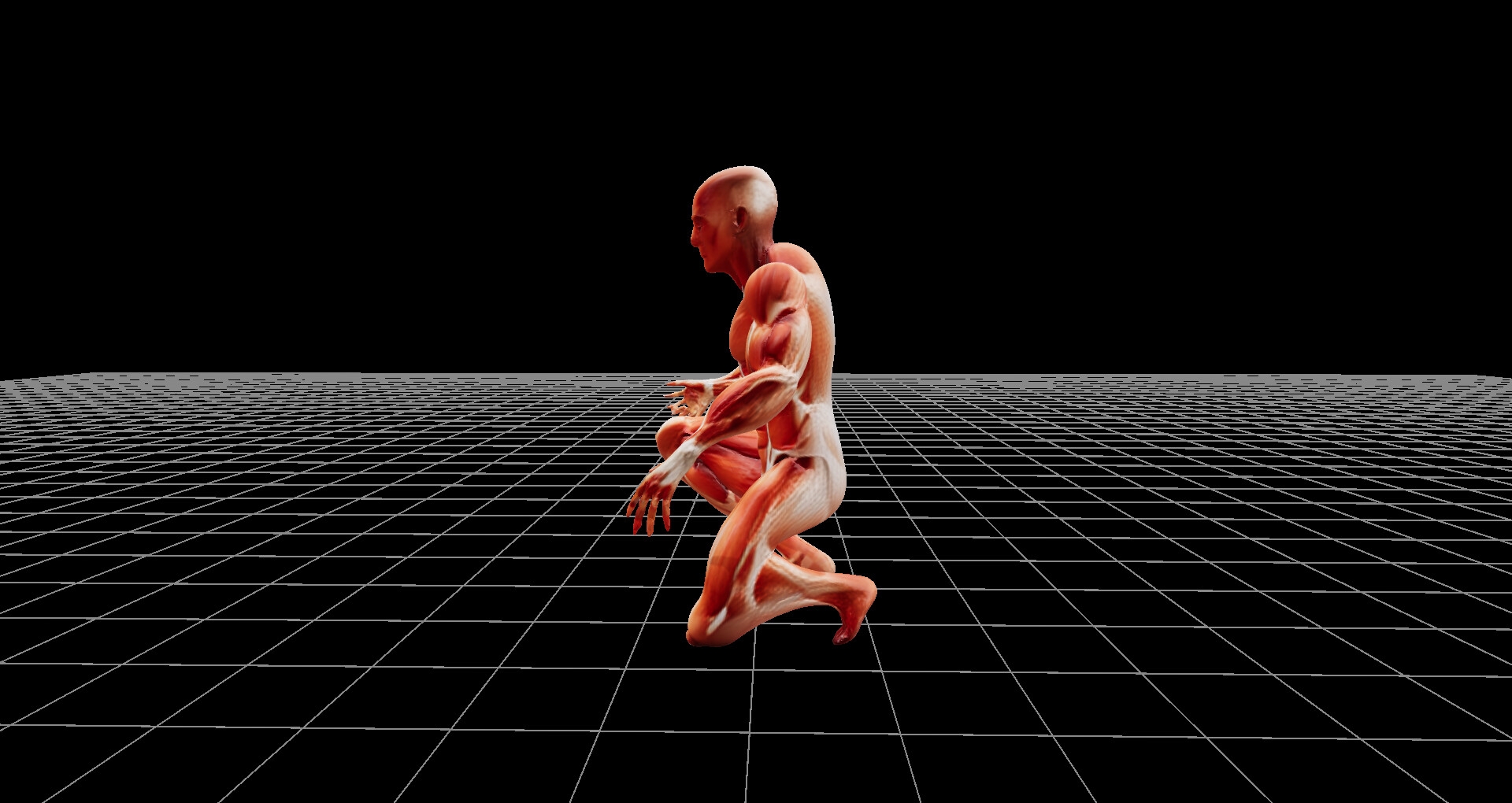 人体模型の3Dファイル(glbファイル)、および360度レンダリング画像、ファイル数1206枚、3Dビューワーソフト同梱