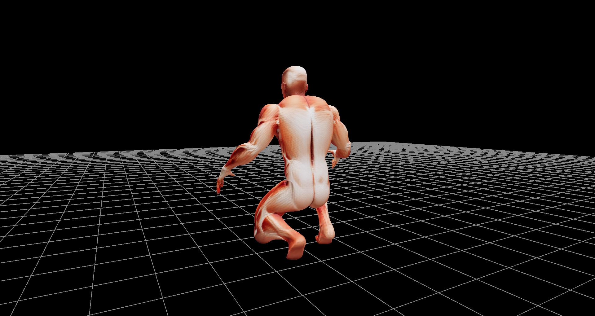 人体模型の3Dファイル(glbファイル)、および360度レンダリング画像、ファイル数1206枚、3Dビューワーソフト同梱