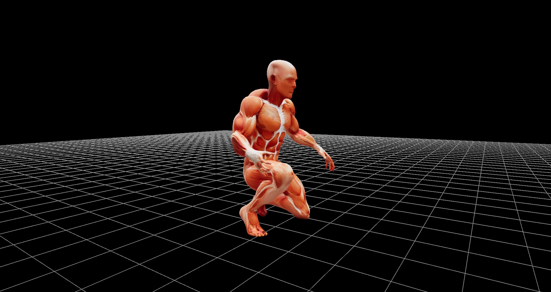 人体模型の3Dファイル(glbファイル)、および360度レンダリング画像、ファイル数1206枚、3Dビューワーソフト同梱