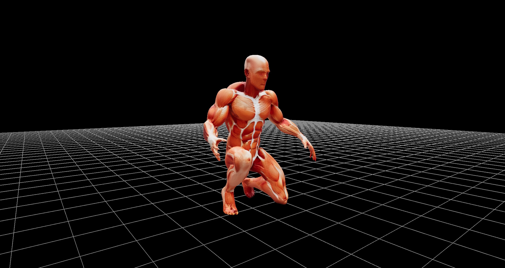 人体模型の3Dファイル(glbファイル)、および360度レンダリング画像、ファイル数1206枚、3Dビューワーソフト同梱