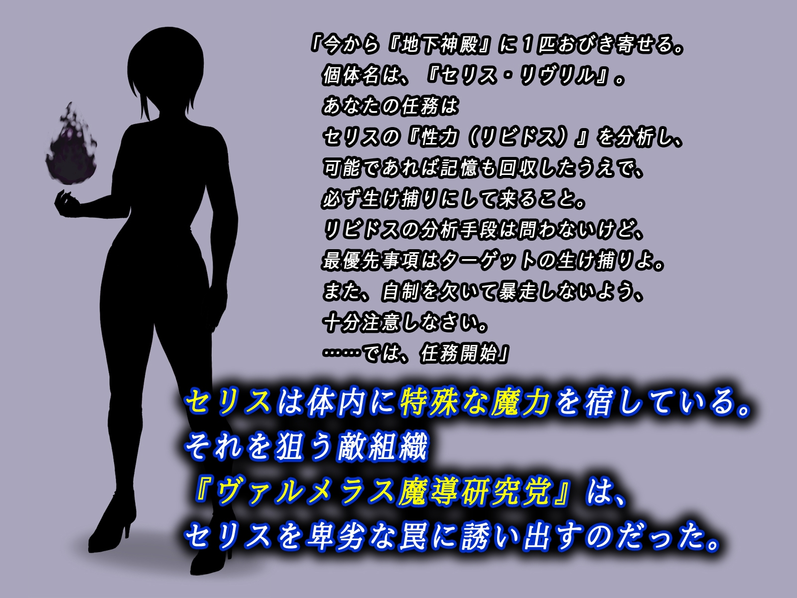 フィリナレス魔導戦士Vol.1～敗北と無情の快楽～(セリス編) 画像2