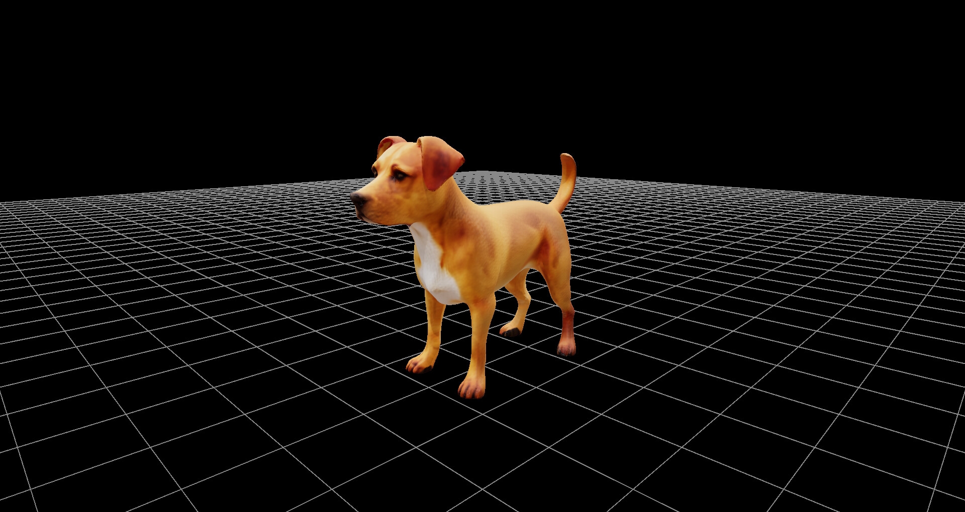 犬モデル、および360度レンダリング画像、ファイル数900枚、3Dビューワーソフト同梱