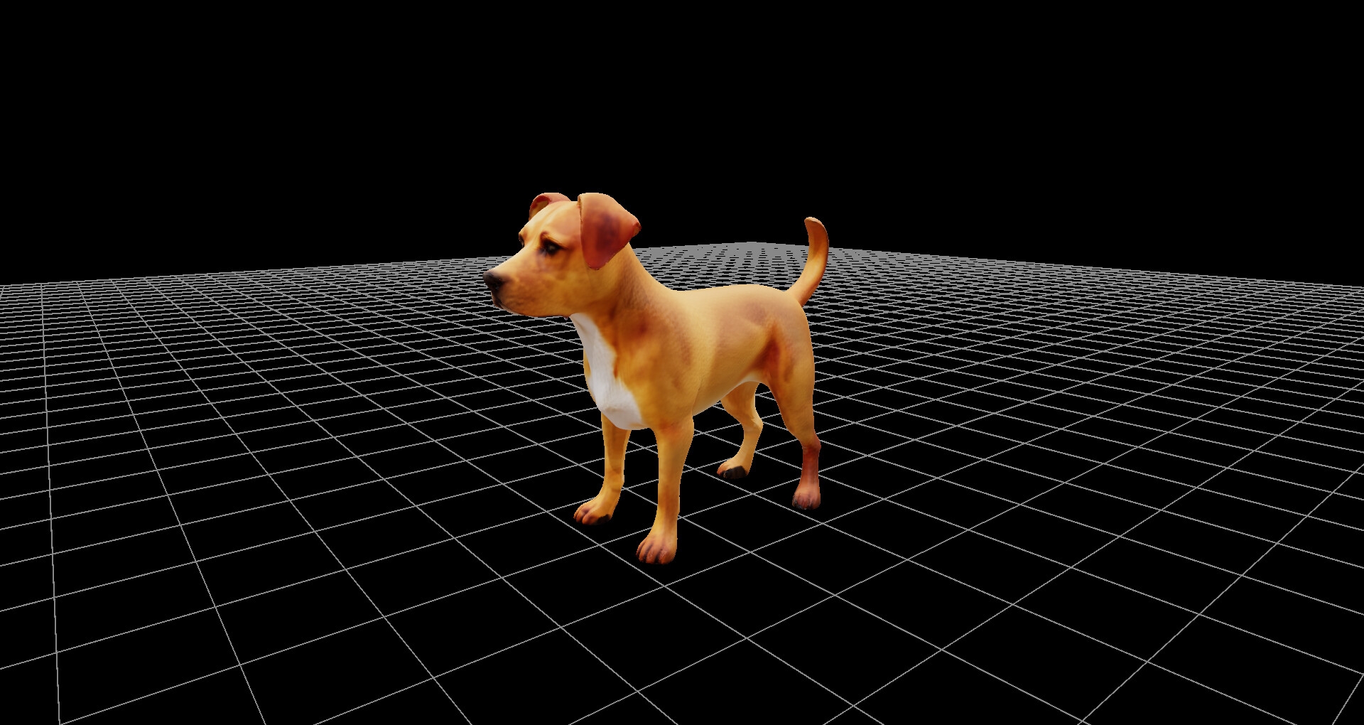 犬モデル、および360度レンダリング画像、ファイル数900枚、3Dビューワーソフト同梱