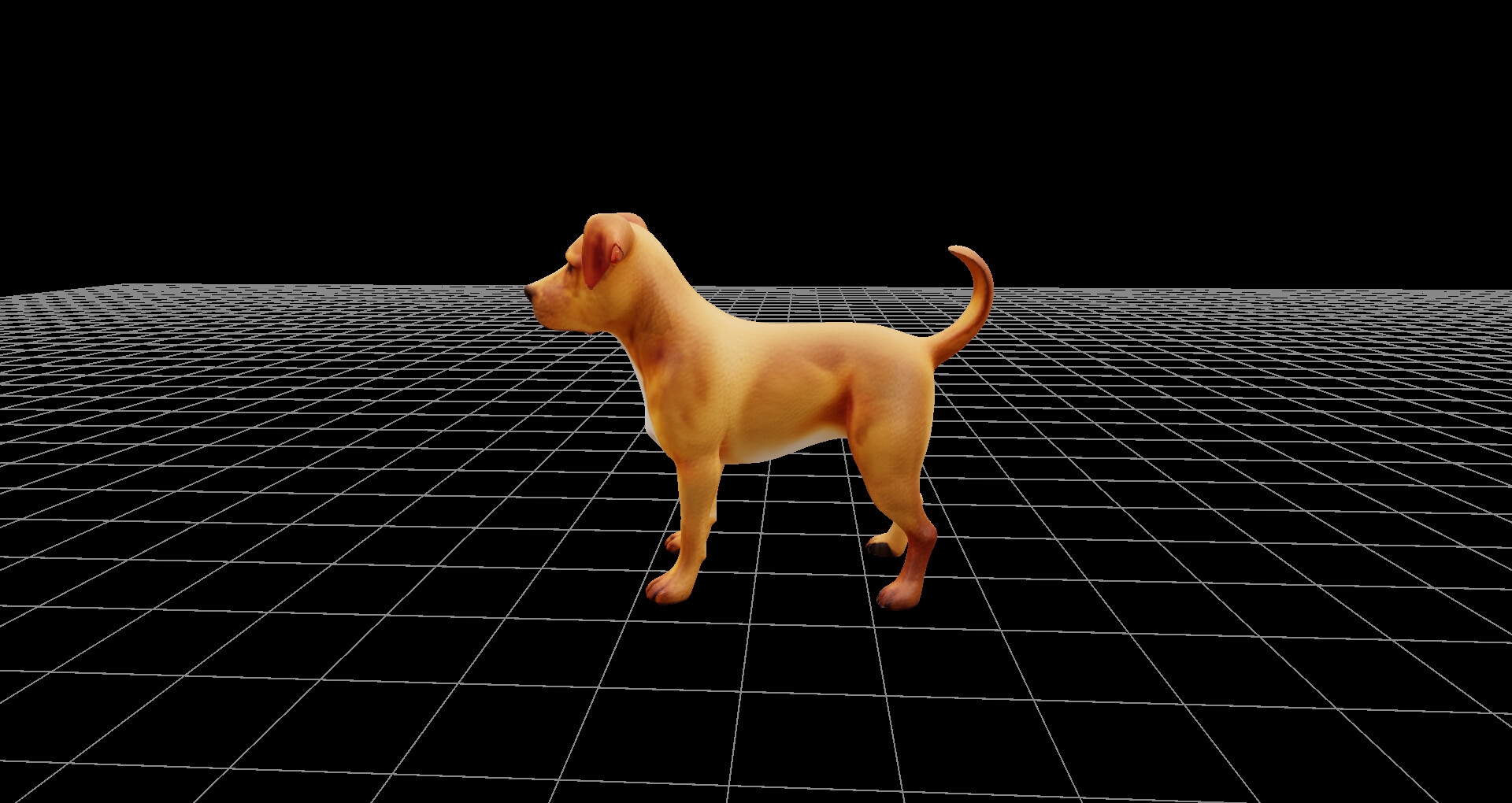 犬モデル、および360度レンダリング画像、ファイル数900枚、3Dビューワーソフト同梱