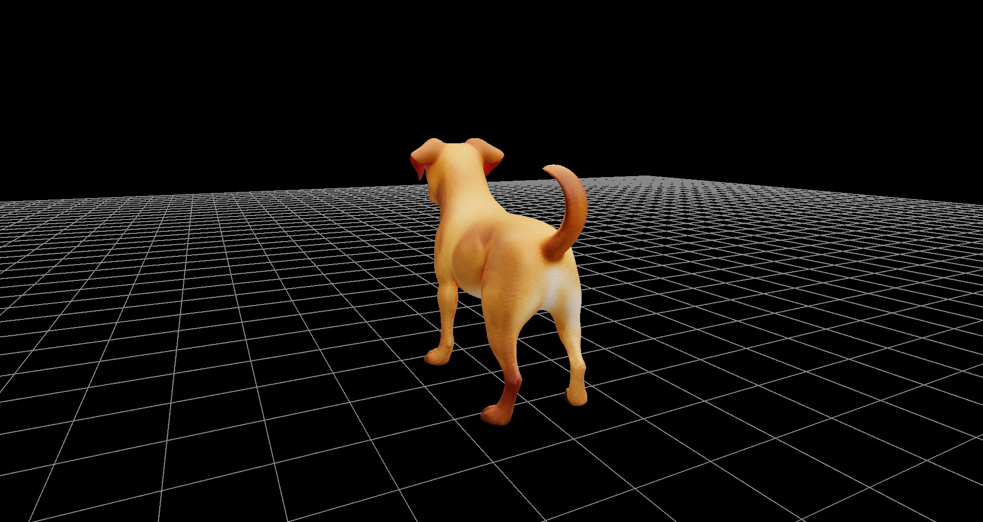 犬モデル、および360度レンダリング画像、ファイル数900枚、3Dビューワーソフト同梱