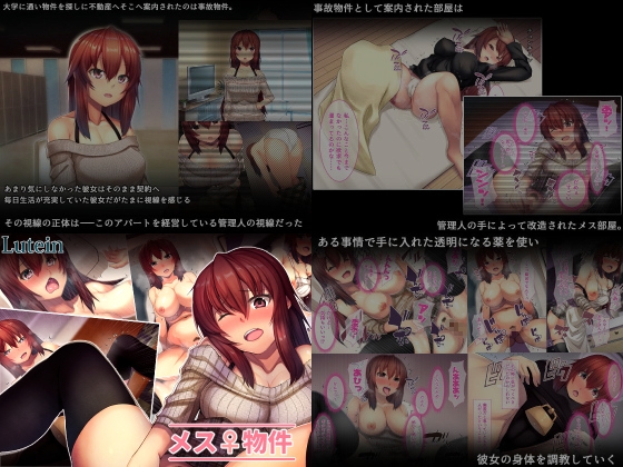 るていんSS4点パック5 画像3