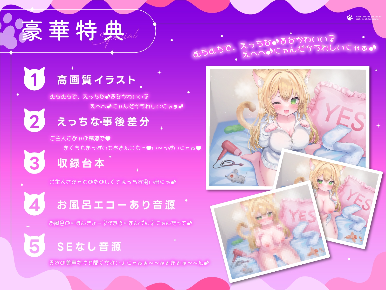 【無知むちシチュえっち♪】むちむちこねこのえっちなしつけ方～赤ちゃんを欲しがるイケない発情こねこに子作り中出し性教育♪～【2時間以上たっぷりにゃんにゃんボイス】 画像6