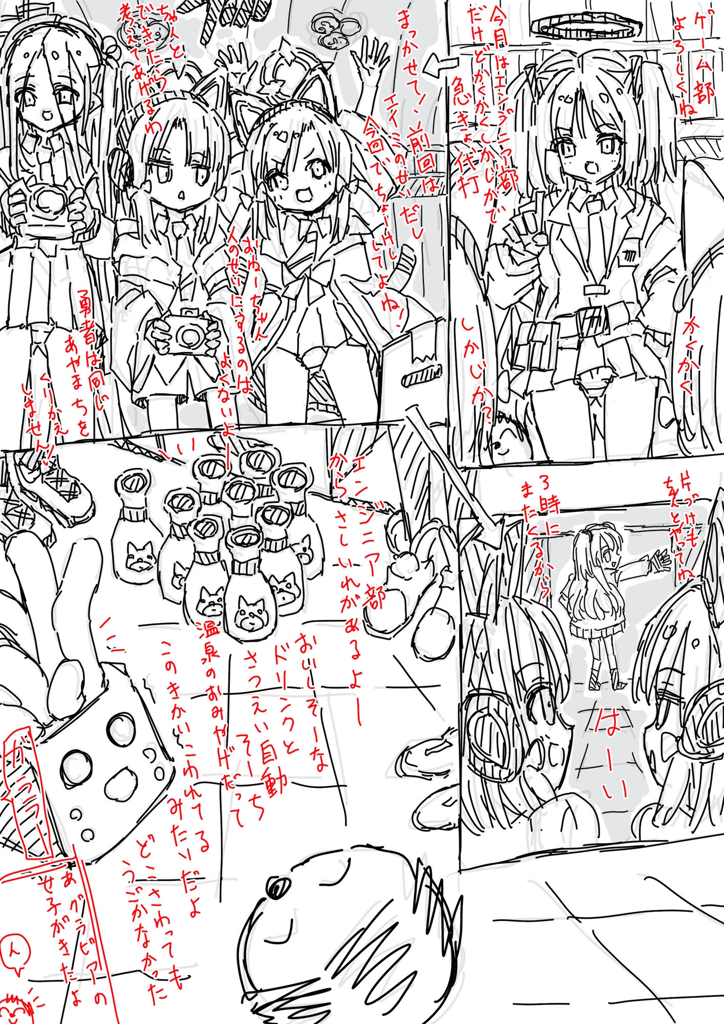 白五本鞠 画像1