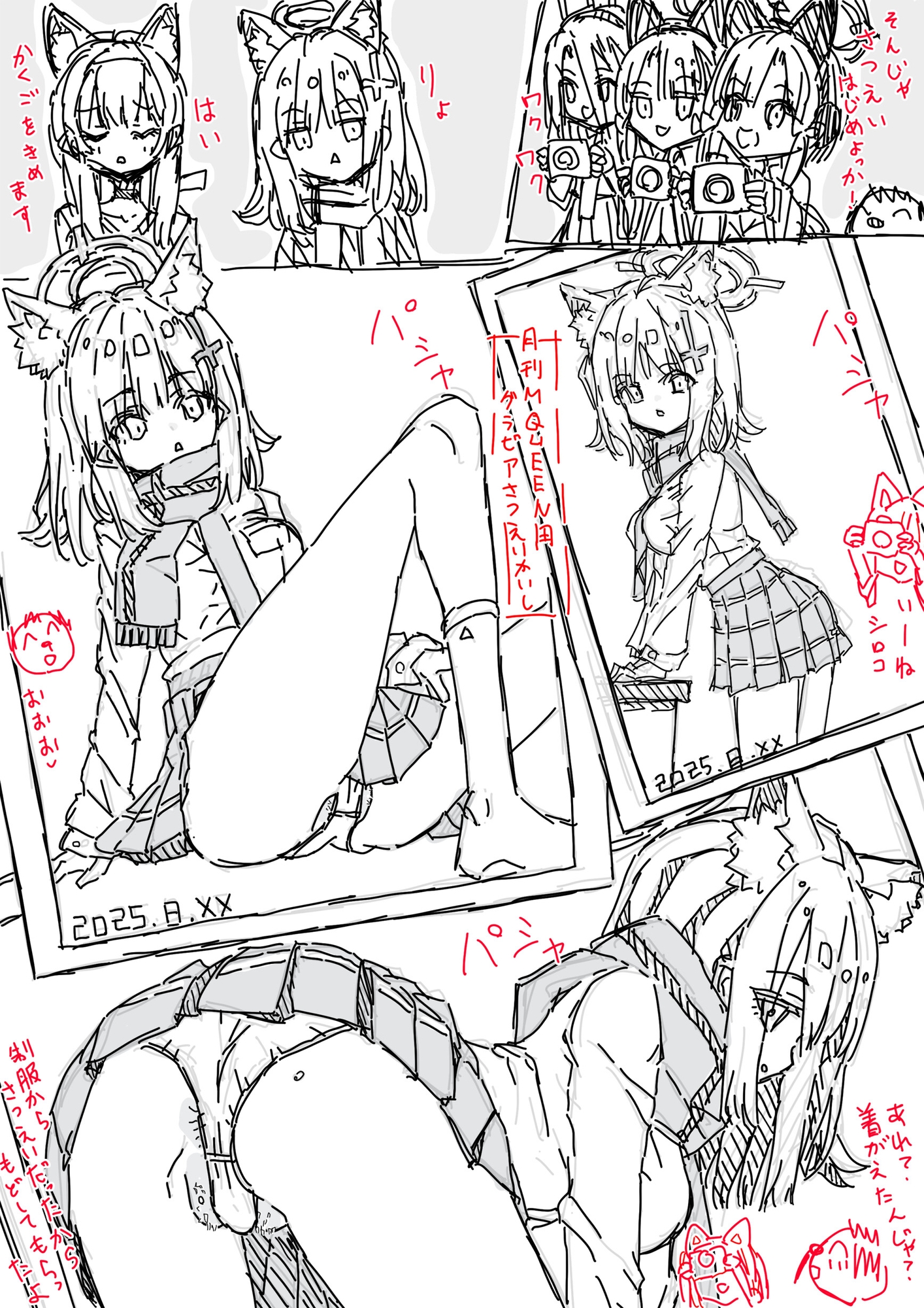 白五本鞠 画像3