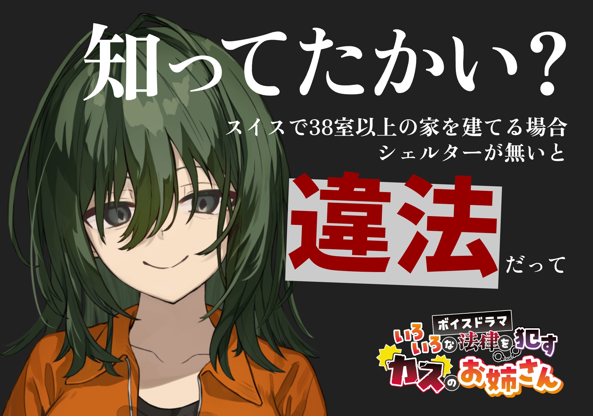 いろいろな法律を○すカスのお姉さん 画像3