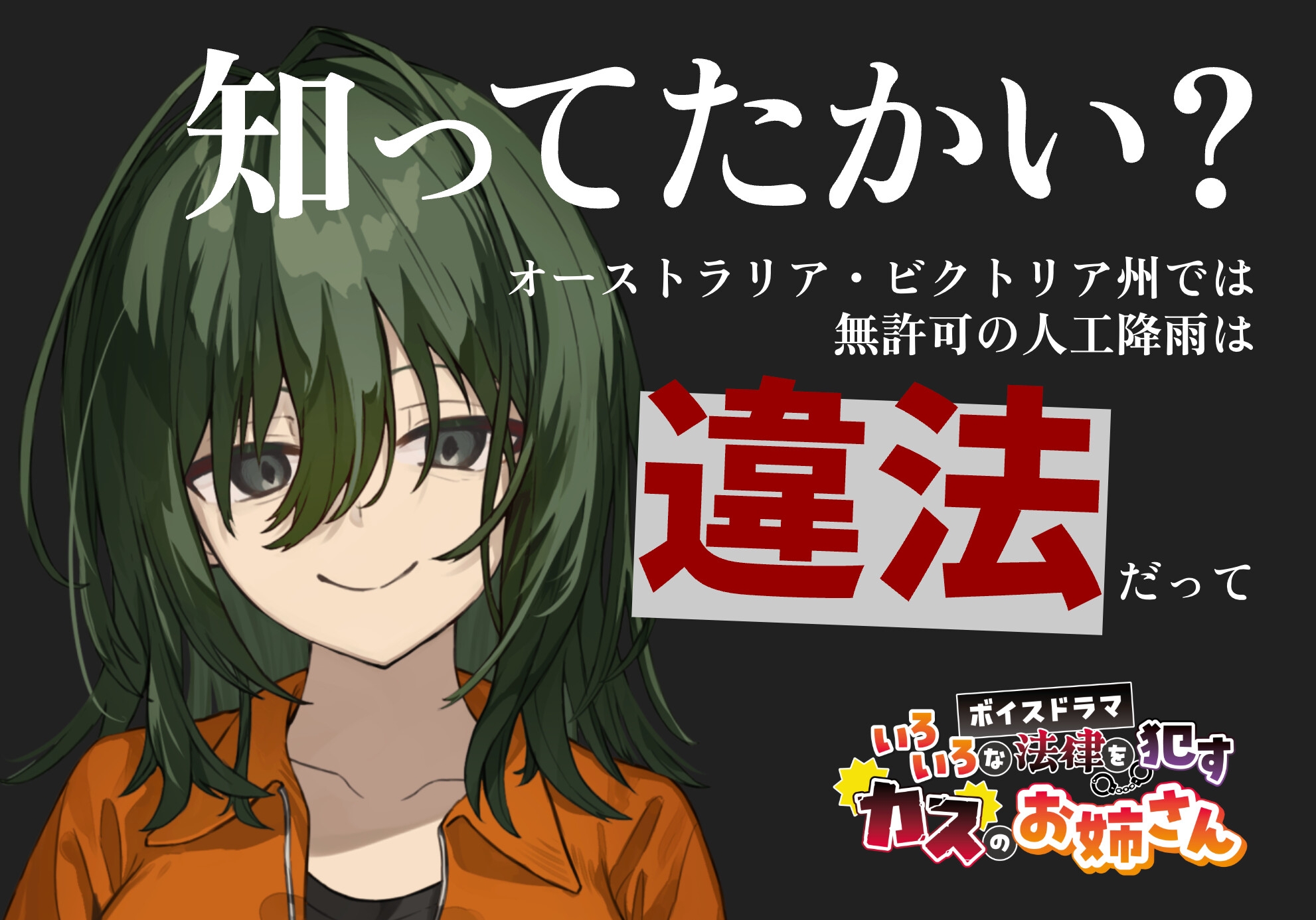 いろいろな法律を○すカスのお姉さん 画像4