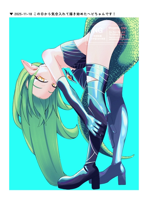 TOGA TOGA LOG ➊ 画像2