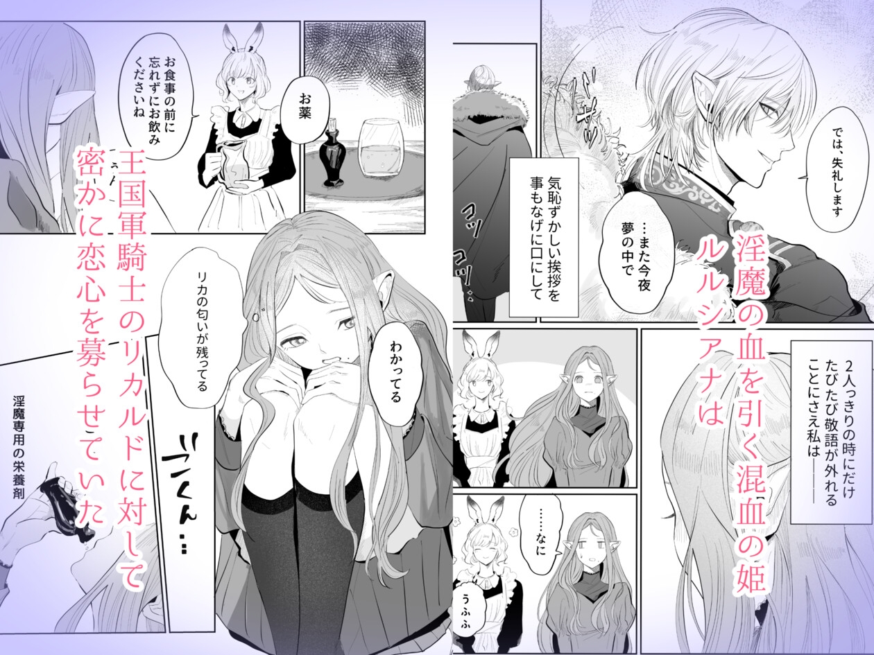 姫様は初恋騎士しか欲しがらない 画像1