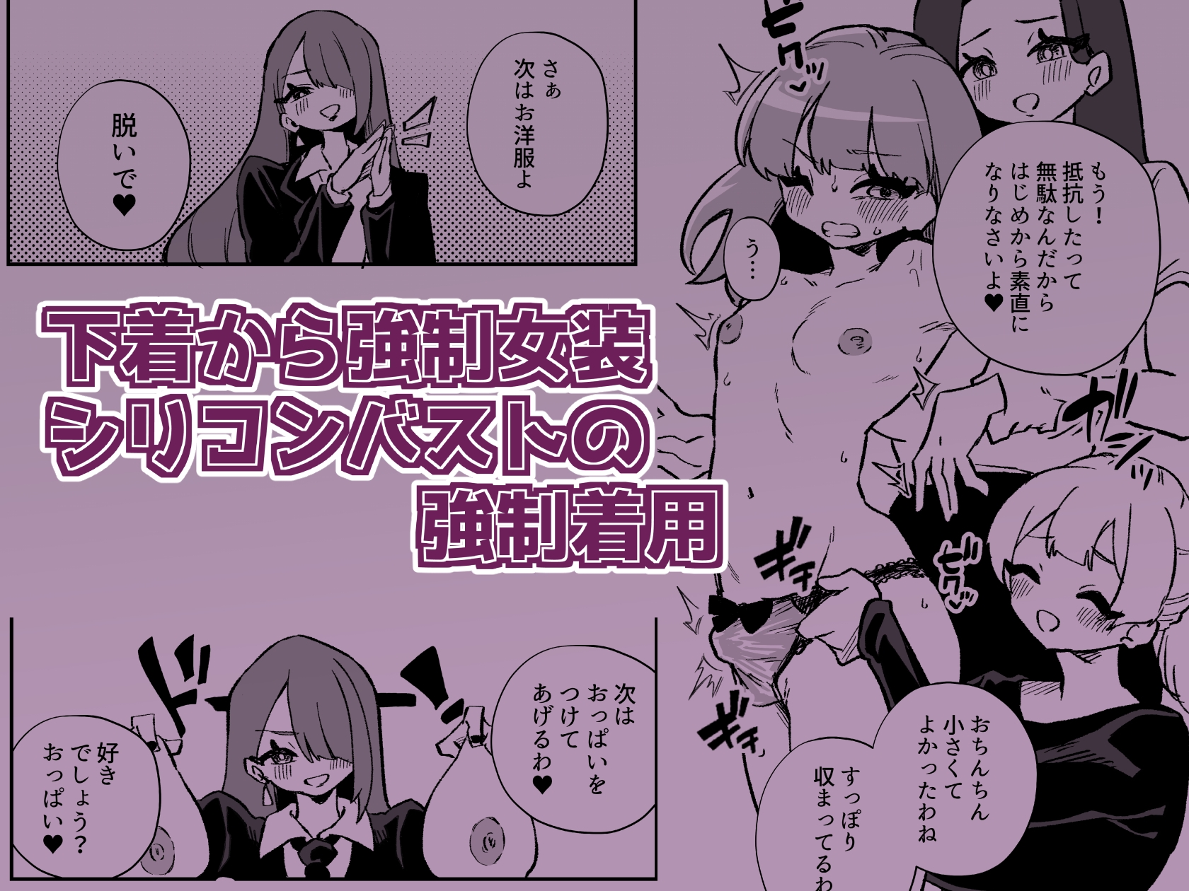 強○女装女性専用車両 画像8