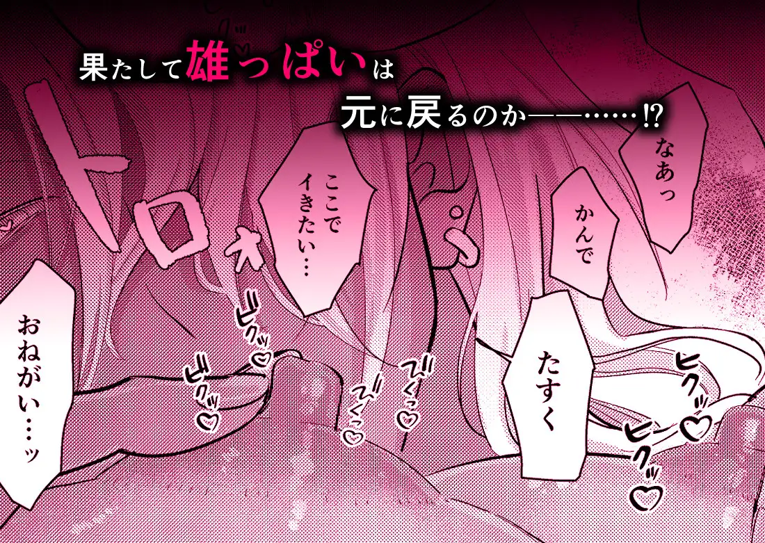 サンプル画像5