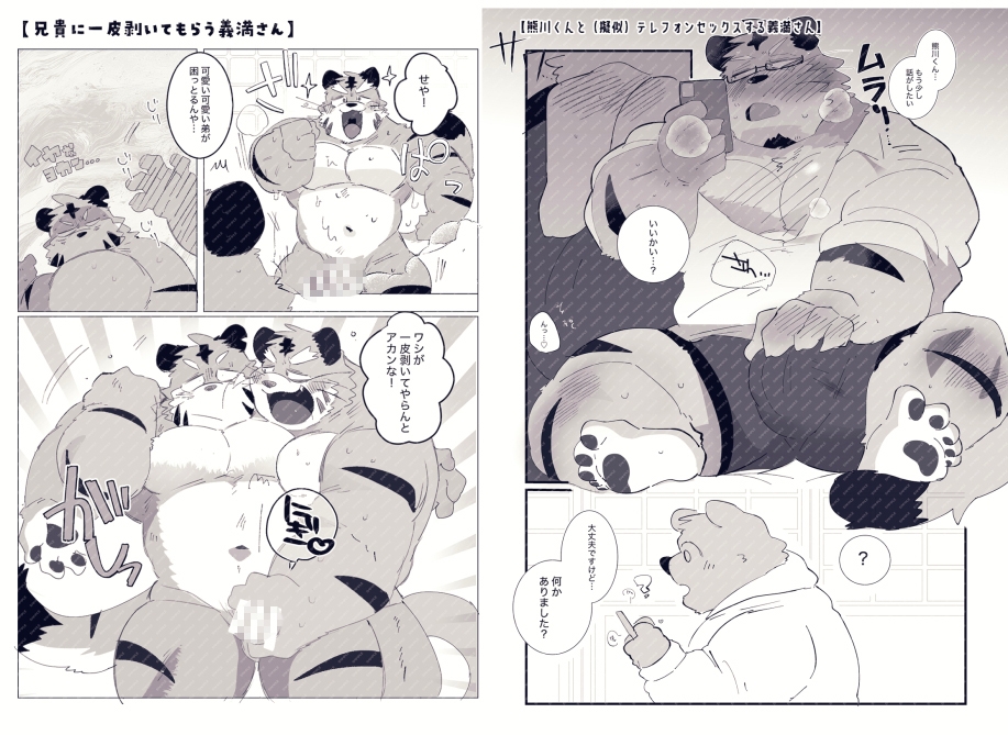 FANBOX COLLECTION 教えて！義満さん