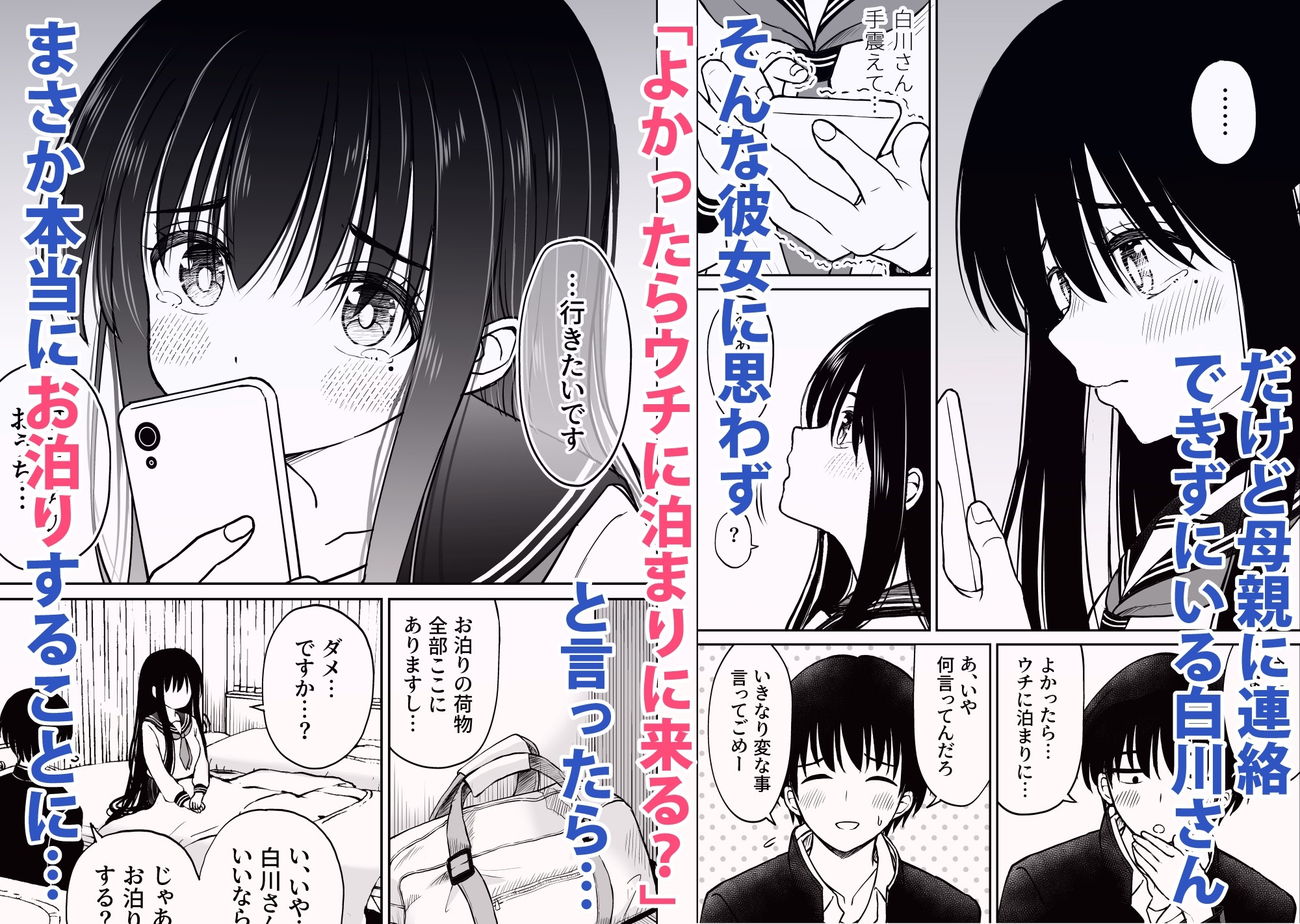 裏修学旅行日記〜青春できない僕らの、秘密の2泊3日〜 画像2