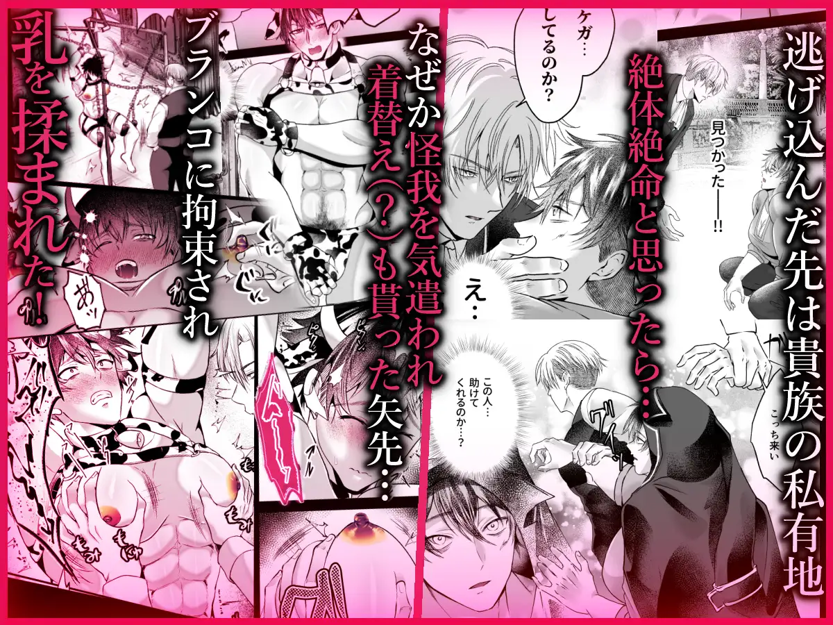 サンプル画像2