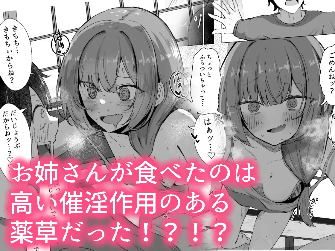 山菜テンプテーション～薬草で発情したちょっぴりMのお姉さんが止まってくれない。～ サンプル画像 3