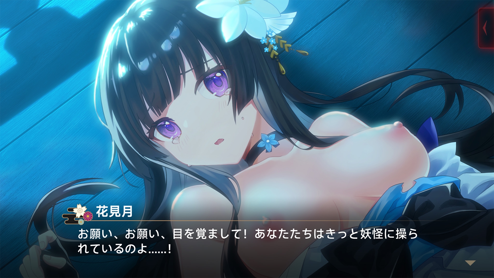 霊縁 18禁DLC (Steam用) 画像5