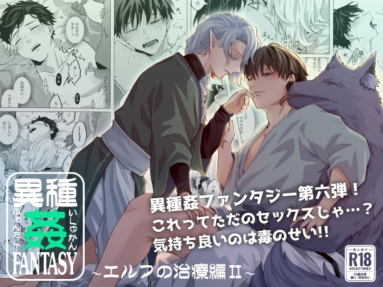 異種姦FANTASY～エルフの治療編II～