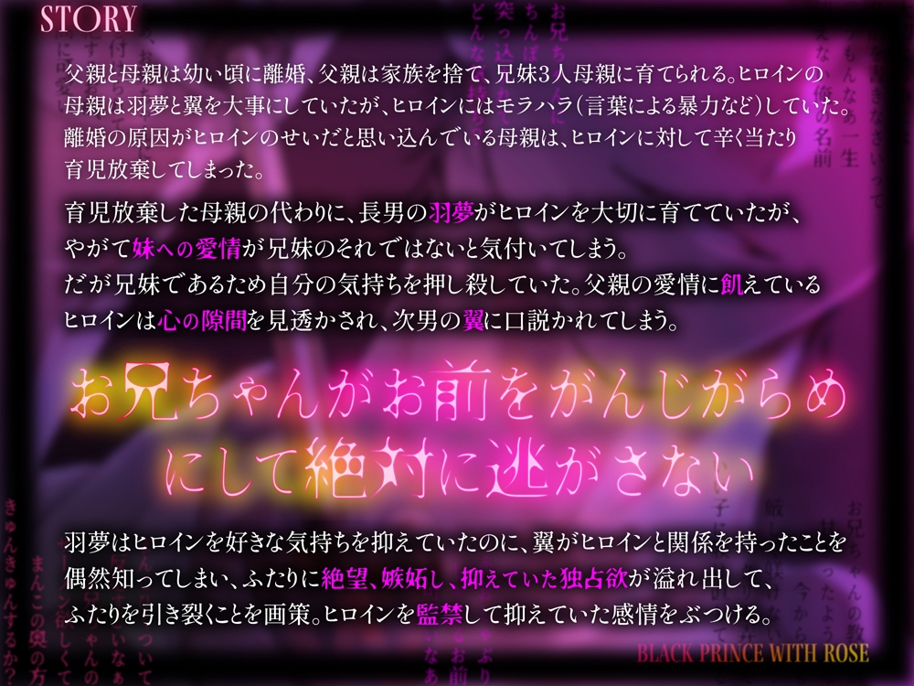 Wの略奪愛～お兄ちゃんの名前は一生消えない [Black Prince With Rose] | DLsiteがるまに 2