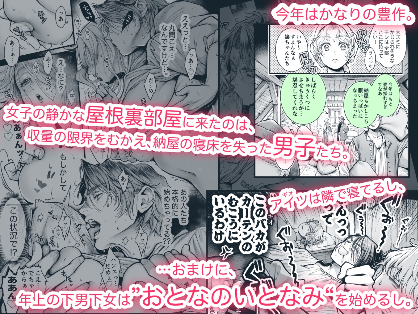 シュヴァインスタイガー家の屋根裏部屋 上巻 画像4