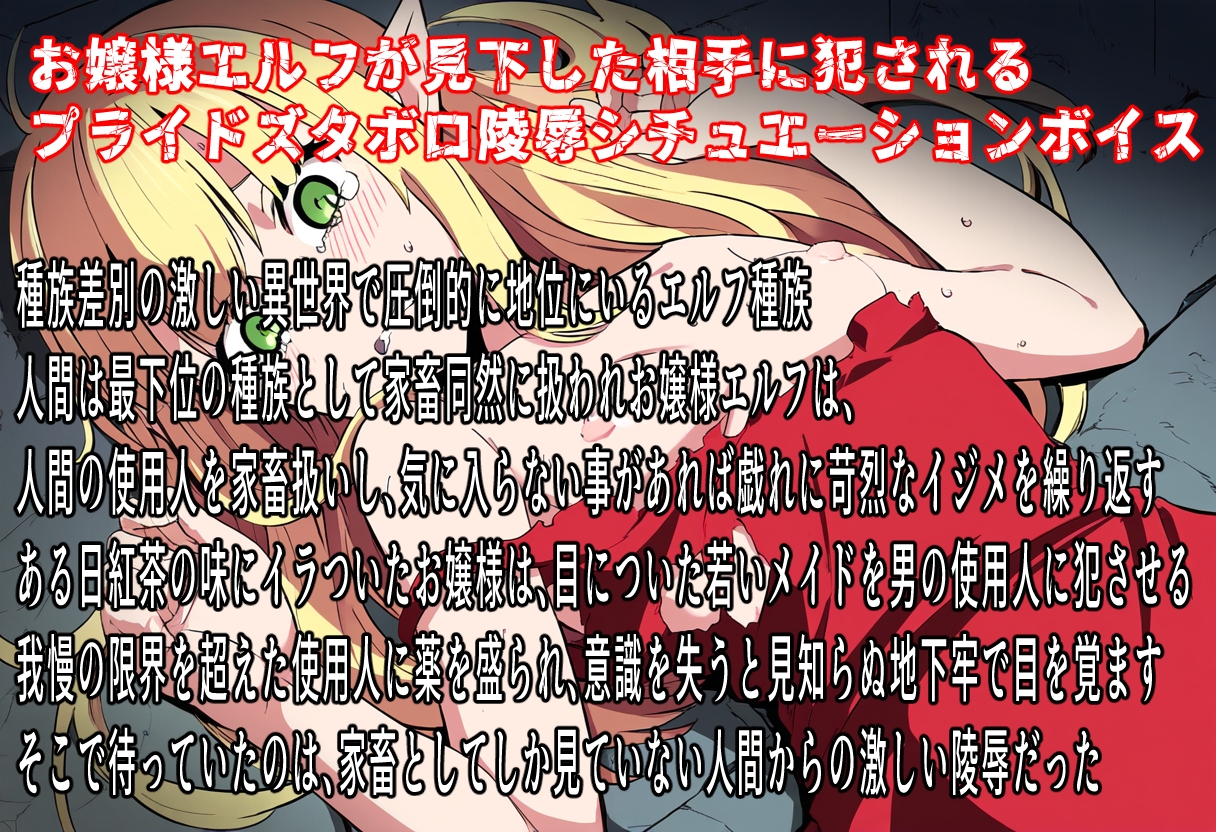 エルフ至上主義お嬢様の絶望人間交尾 画像1