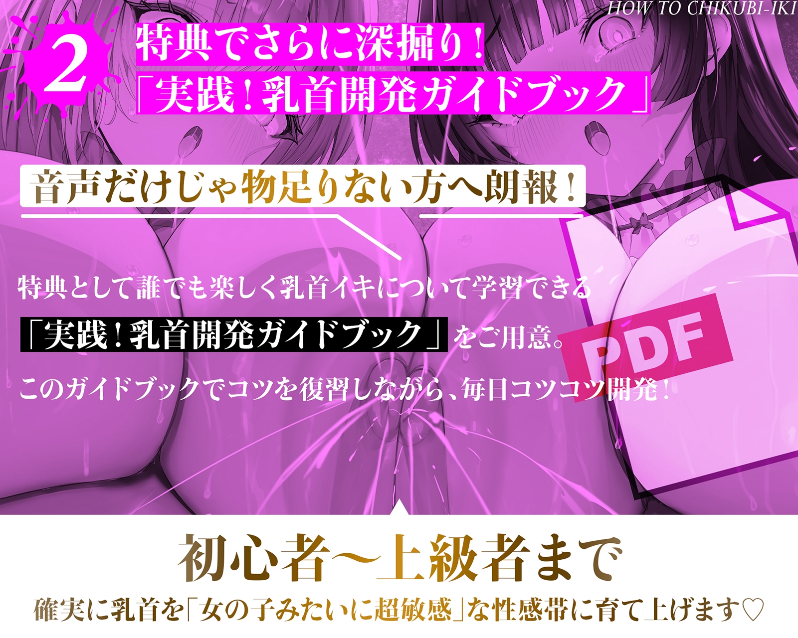 乳首で【イク】！メソッド」～初心者から上級者まで本当に誰でも乳首でイケる『実用』開発メソッド完全版 画像5
