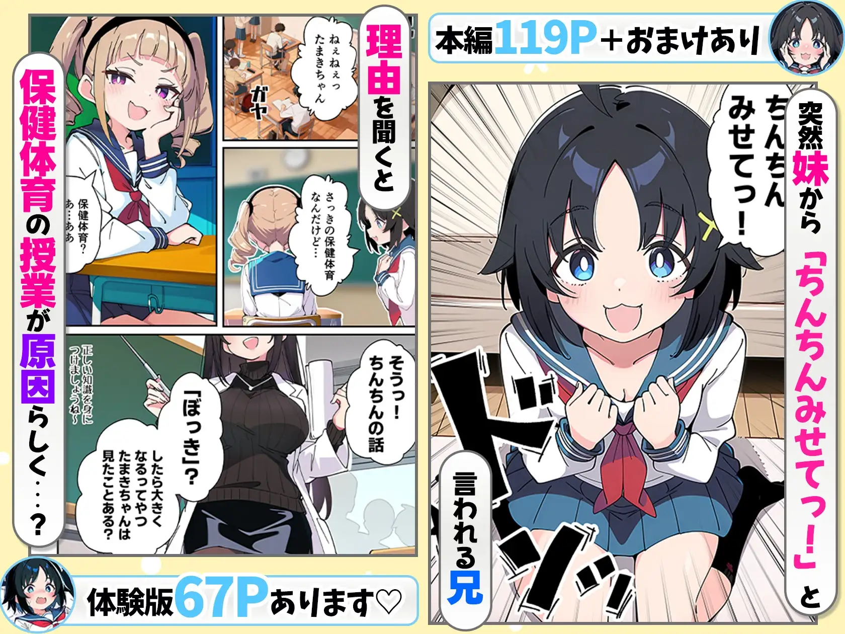 性に好奇心旺盛な妹と実践形式で性教育して中出しえっちする話 サンプル画像 3