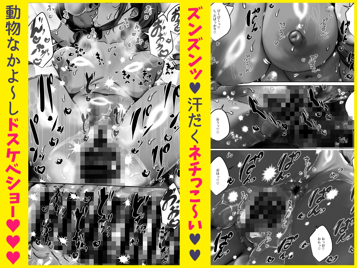 女体化ドバイヤギの動物なかよしショー 画像5