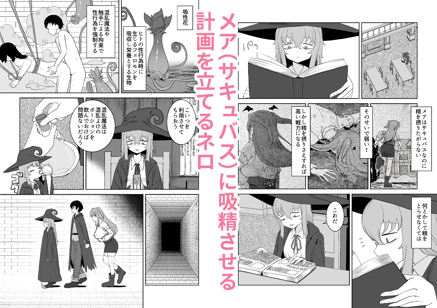 サキュバスが混乱している間に 画像1