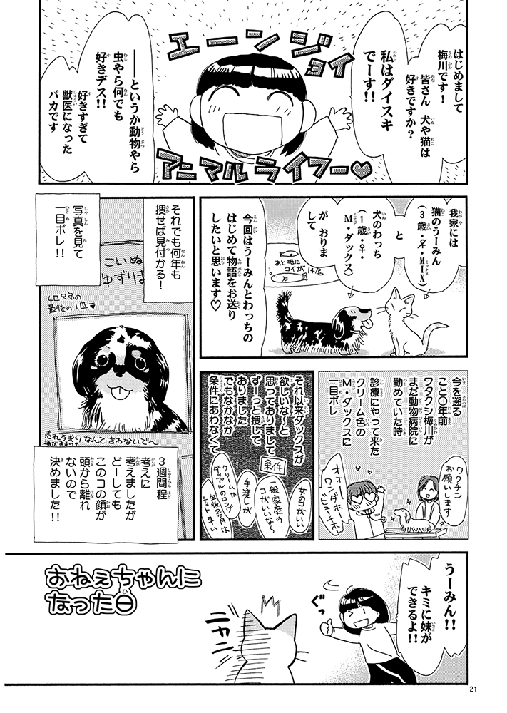 CHOO CHOO CHOO 画像6