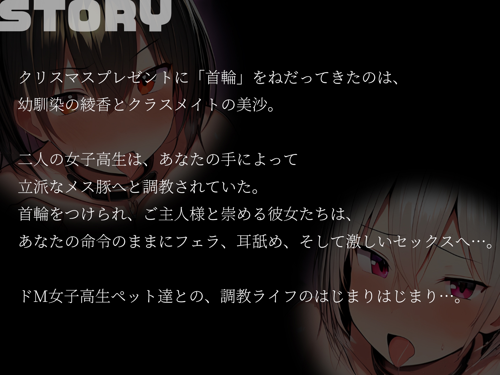 【KU100】プレゼントに首輪をねだるドM2人を再調教 画像1