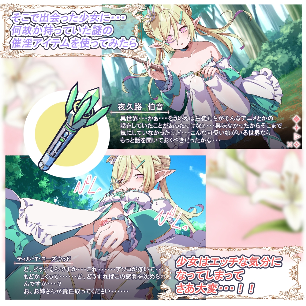 Project Meerverce Series5 つるぺたエルフを襲ってつるぺたサキュバスに襲われるヘンタイお姉さんの話 画像3