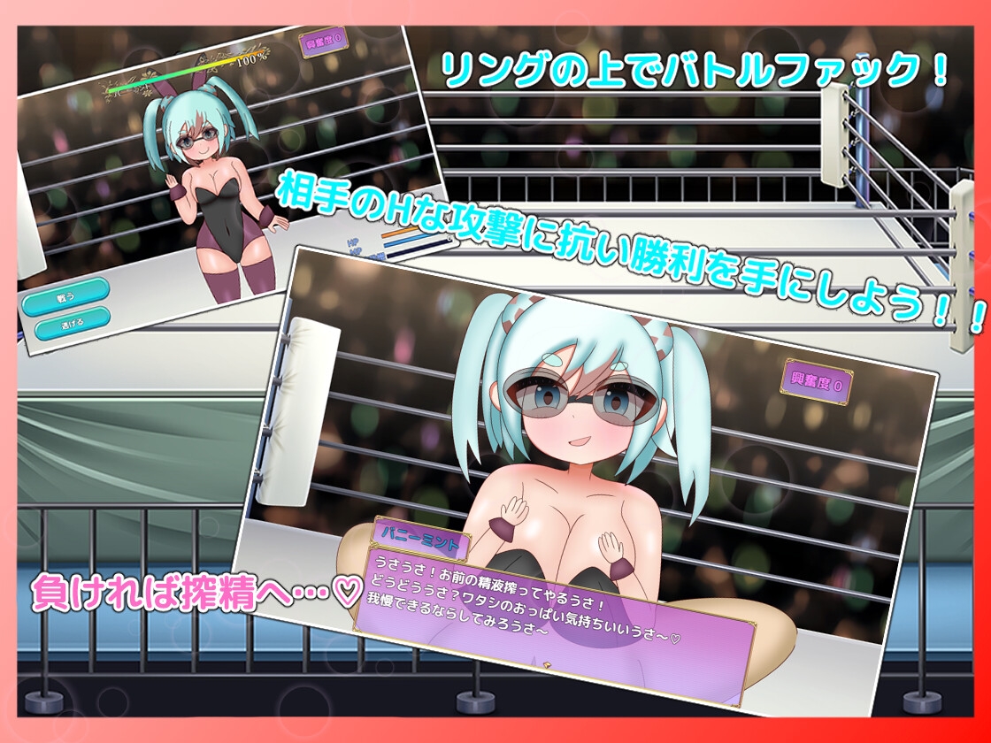 戦闘逆レ○プRPG エルシフィアファイト 画像1