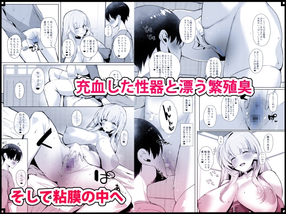 童貞好きの旅エルフ 画像4