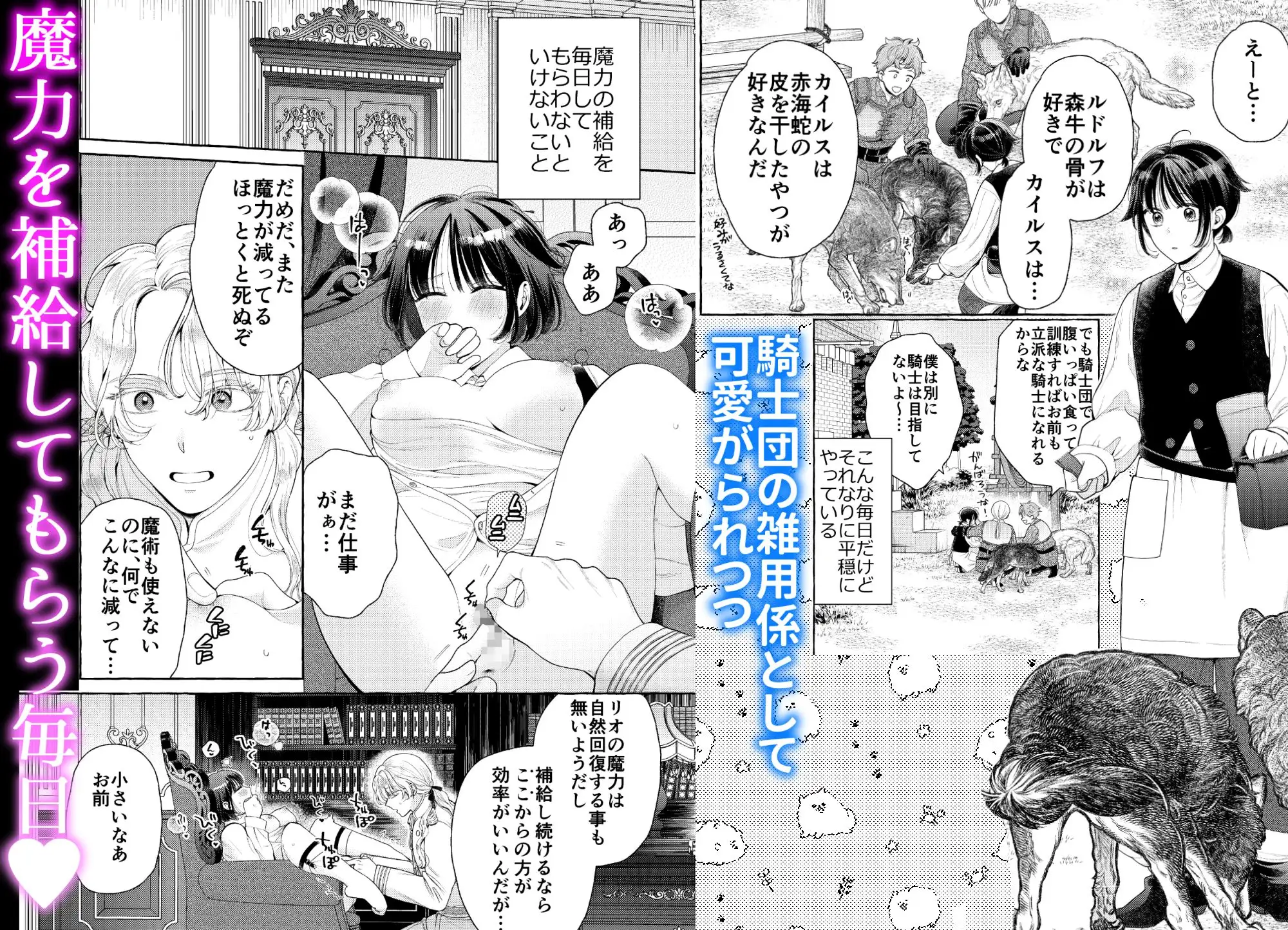 サンプル画像2