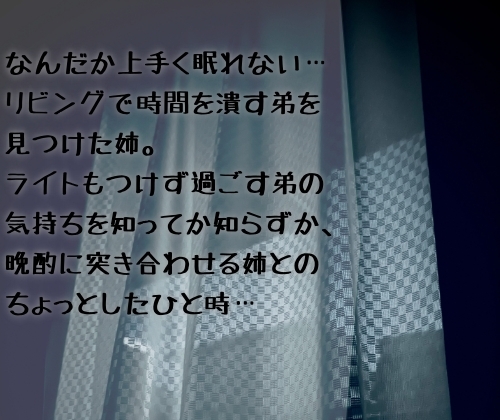 【ショート音声】眠れない夜、リビングで。