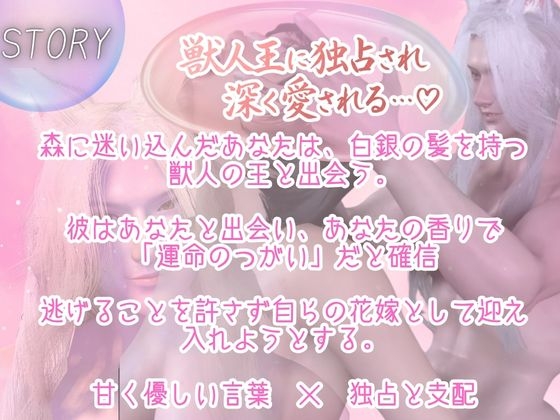 CV【獣人王/独占溺愛1時間】逃がさない、俺の番になれ ～白銀の獣人王に捕らわれて～【白銀髪/長髪/獣耳】